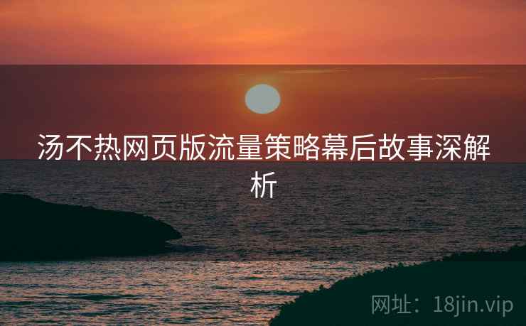 汤不热网页版流量策略幕后故事深解析 汤不热网页版流量策略幕后故事深解析