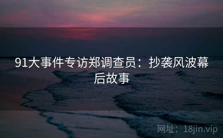 91大事件专访郑调查员：抄袭风波幕后故事