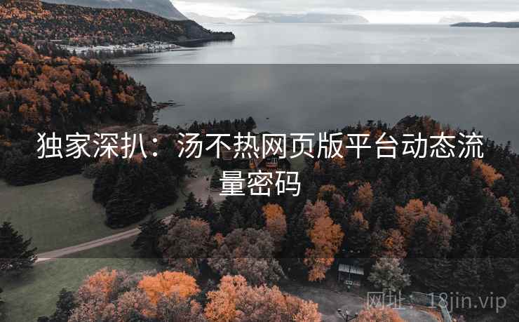 独家深扒：汤不热网页版平台动态流量密码
