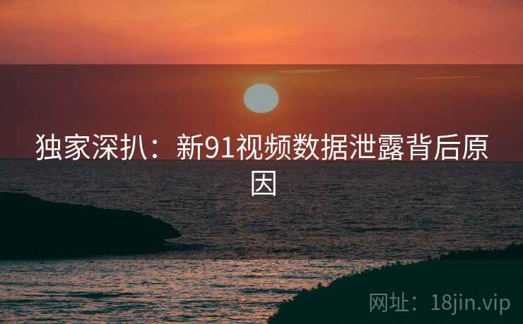 独家深扒：新91视频数据泄露背后原因